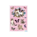 Herma - Αυτοκολλητάκια, Cats 3064 Herma - Αυτοκολλητάκια, Cats 3064