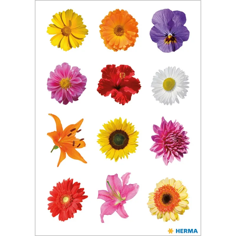 Herma - Αυτοκολλητάκια, Colorful Gerberas 3309