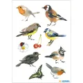 Herma - Αυτοκολλητάκια, Watercolor Birds 3351 Herma - Αυτοκολλητάκια, Watercolor Birds 3351