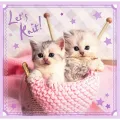 Trefl - Puzzle 3 in 1 Sweets Kittens 20/36/50 Pcs 34809 Trefl - Puzzle 3 in 1 Sweets Kittens 20/36/50 Pcs 34809