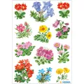 Herma - Αυτοκολλητάκια, Mountain Flowers 3582 Herma - Αυτοκολλητάκια, Mountain Flowers 3582