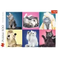 Trefl - Puzzle Kittens 500 Pcs 37377 Trefl - Puzzle Kittens 500 Pcs 37377