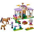 Lego Friends - Horse Training 41746 Lego Friends - Horse Training 41746