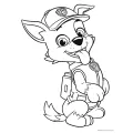 Trefl - Puzzle Baby Maxi Double-Sided, The Paw Patrol Team 10/10 Pcs 43003 Trefl - Puzzle Baby Maxi Double-Sided, The Paw Patrol Team 10/10 Pcs 43003