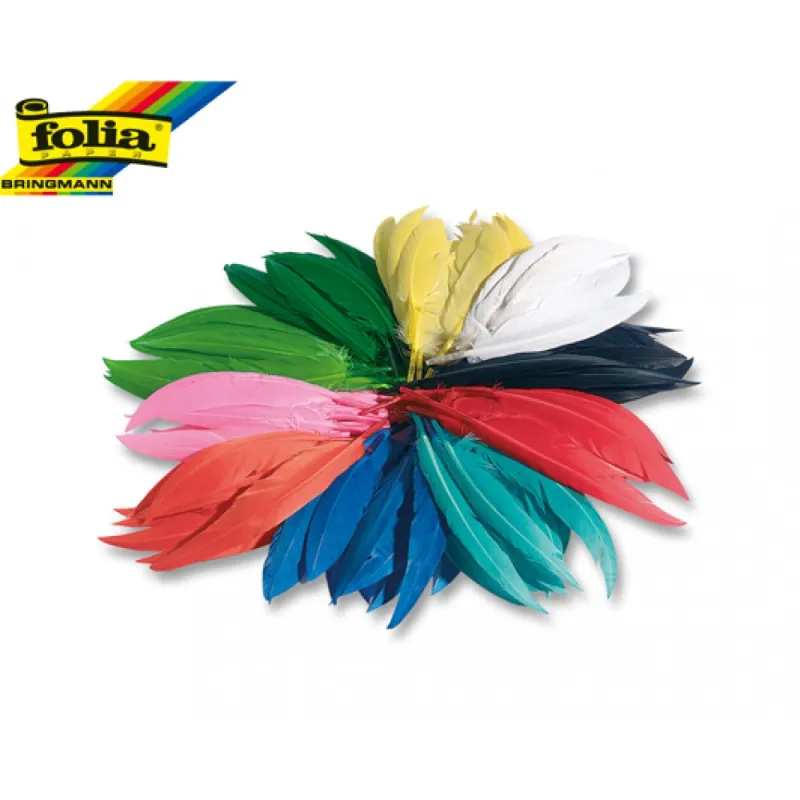 Folia - Φτερά Ινδιάνων 100 gr 55109