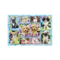 Schmidt Spiele – Puzzle Puppies 200 Pcs 56162 Schmidt Spiele – Puzzle Puppies 200 Pcs 56162