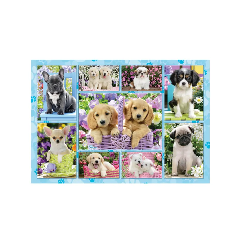 Schmidt Spiele – Puzzle Puppies 200 Pcs 56162