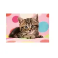 Schmidt Spiele – Puzzle Cute Kitten 100 Pcs 56249 Schmidt Spiele – Puzzle Cute Kitten 100 Pcs 56249