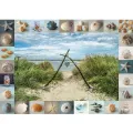 Schmidt Spiele - Puzzle Seashore Collectibles 1000 Pcs 59631 Schmidt Spiele - Puzzle Seashore Collectibles 1000 Pcs 59631