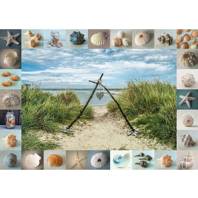 Schmidt Spiele - Puzzle Seashore Collectibles 1000 Pcs 59631