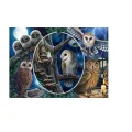 Schmidt Spiele – Puzzle Mysterious Owls 1000 Pcs 59667 Schmidt Spiele – Puzzle Mysterious Owls 1000 Pcs 59667