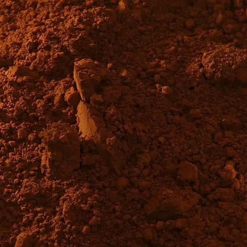 Buonarroti - Σκόνη Αγιογραφίας, Burned Sienna 90 gr 9902SIBR