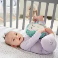 Fisher Price - Μαλακό Σκαντζοχοιράκι Με Μουσική Και Δόνηση FXC58 Fisher Price - Μαλακό Σκαντζοχοιράκι Με Μουσική Και Δόνηση FXC58