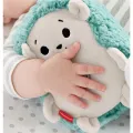 Fisher Price - Μαλακό Σκαντζοχοιράκι Με Μουσική Και Δόνηση FXC58 Fisher Price - Μαλακό Σκαντζοχοιράκι Με Μουσική Και Δόνηση FXC58