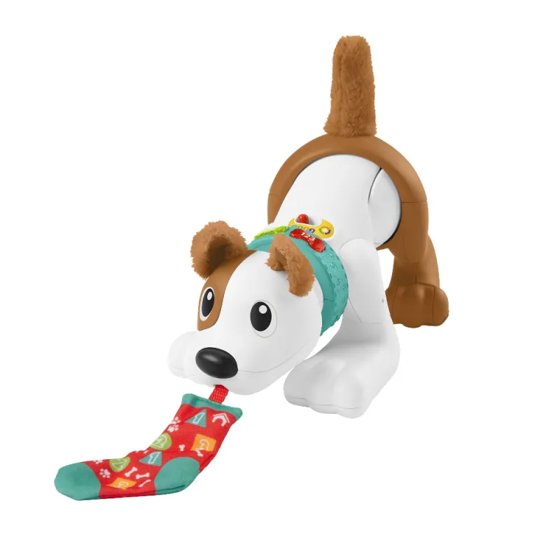 Fisher Price - Εκπαιδευτικό Σκυλάκι Μπουσουλάκι HHH18
