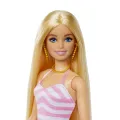 Mattel Barbie - Beach Glam με Αξεσουάρ HPL73 (HPL72) Mattel Barbie - Beach Glam με Αξεσουάρ HPL73 (HPL72)
