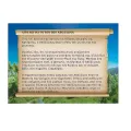 Playmobil History - Αρχαίοι Έλληνες Θεοί, Θεός Απόλλων 70218 Playmobil History - Αρχαίοι Έλληνες Θεοί, Θεός Απόλλων 70218