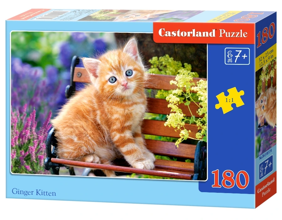 Castorland - Puzzle, Ginger Kitten 180 Pcs 18178