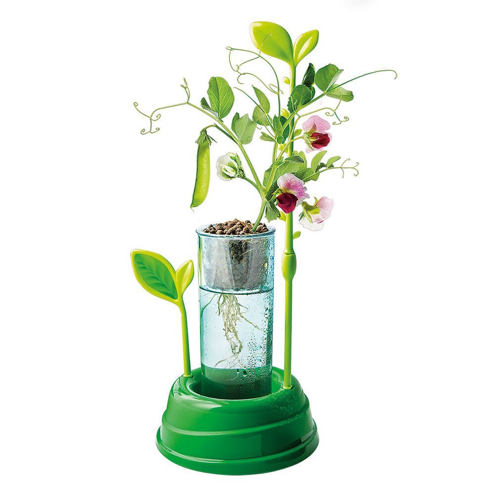 AS - Μαθαίνω Και Δημιουργώ Lab, Ο Κήπος Μου 1026-63408