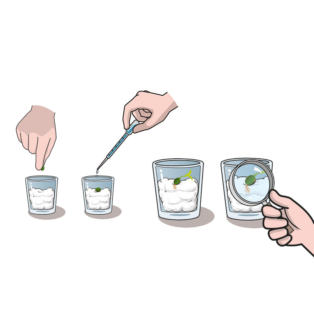 AS - Μαθαίνω Και Δημιουργώ Lab, Ο Κήπος Μου 1026-63408