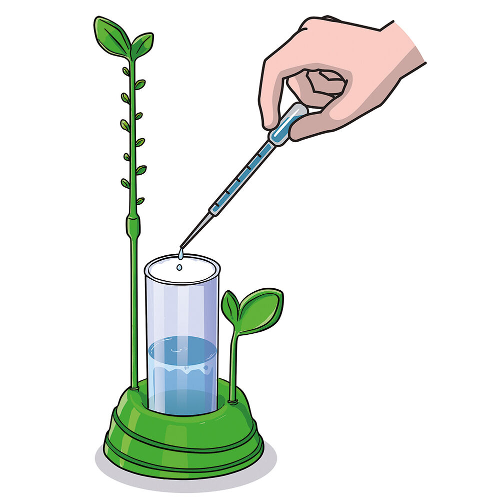 AS - Μαθαίνω Και Δημιουργώ Lab, Ο Κήπος Μου 1026-63408