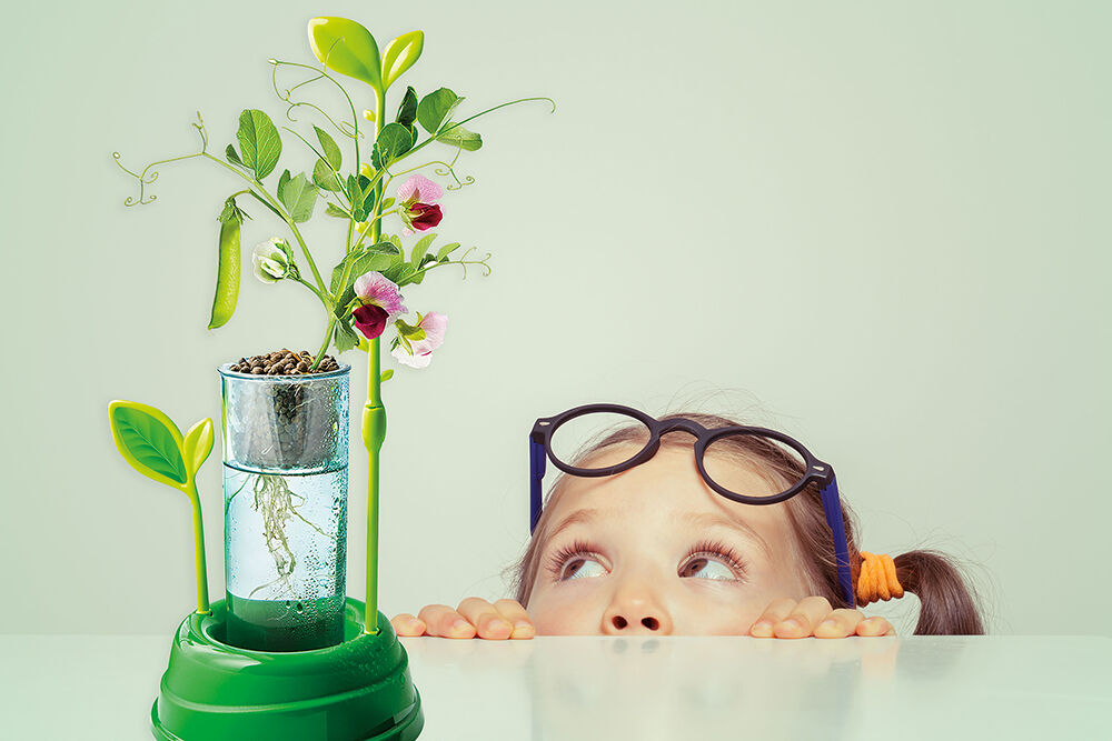 AS - Μαθαίνω Και Δημιουργώ Lab, Ο Κήπος Μου 1026-63408