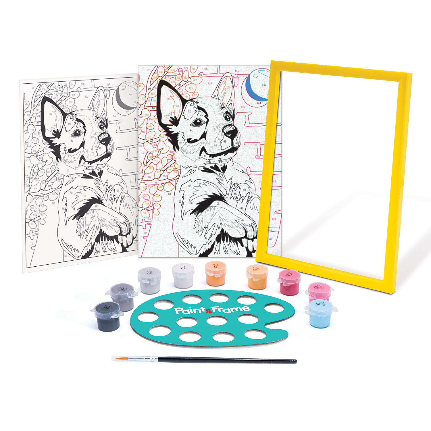 AS - Paint & Frame , Paint by Numbers - Playful Husky 1038-41013