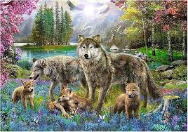 Trefl - Puzzle Lupine Family 1000 Pcs 10558