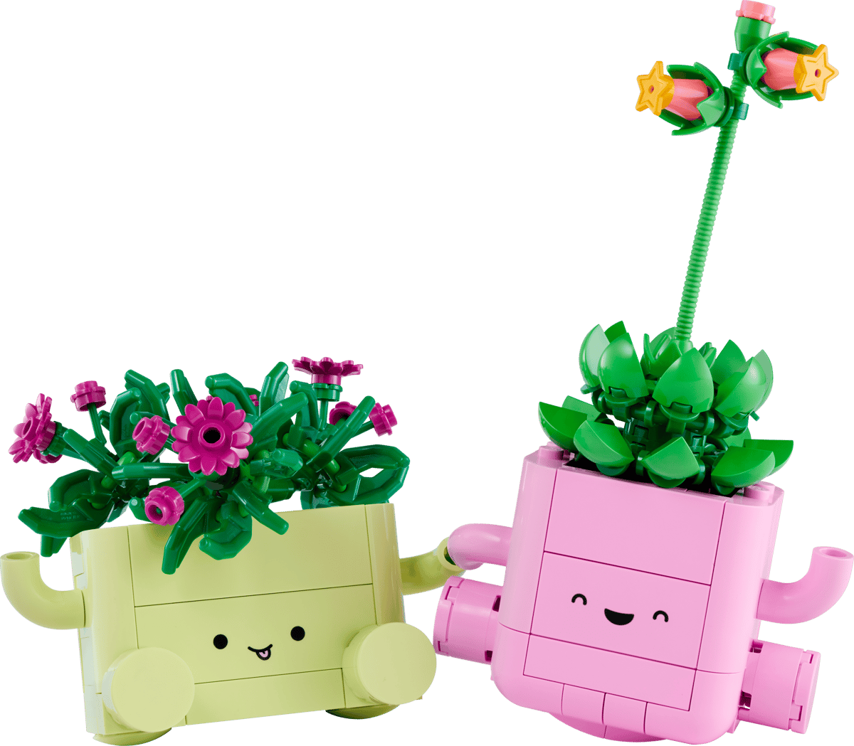 Lego Botanicals - Rocking Plants 11506