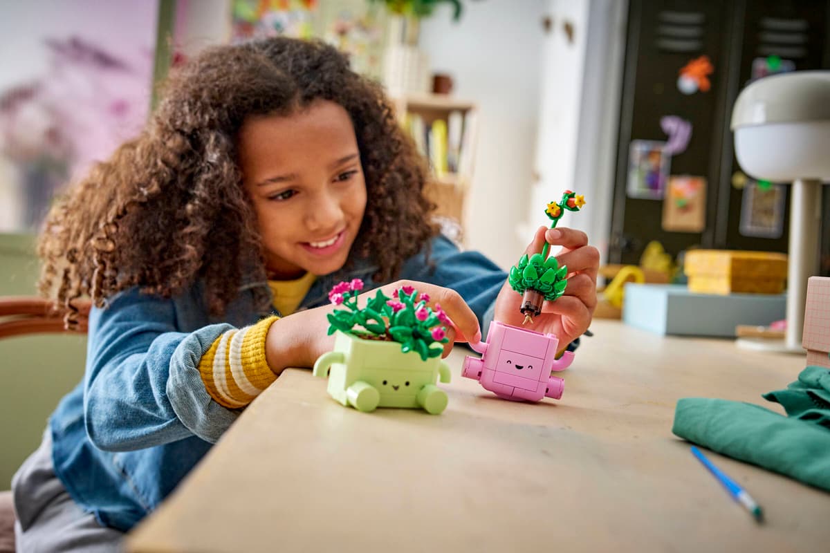 Lego Botanicals - Rocking Plants 11506