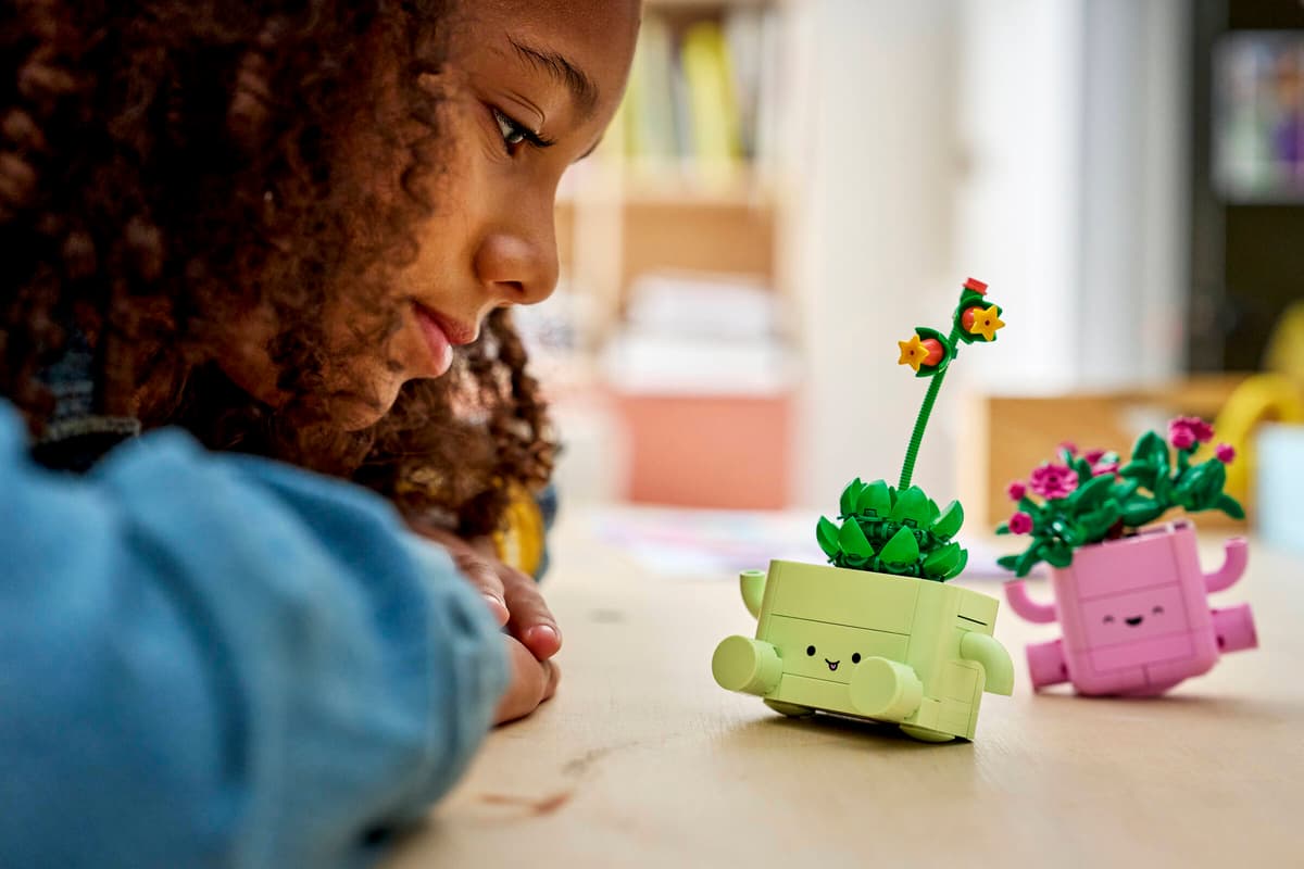 Lego Botanicals - Rocking Plants 11506