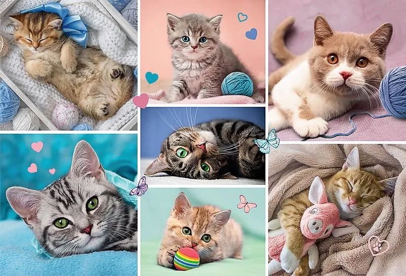 Trefl - Puzzle In the Cat's World 100 Pcs 16420