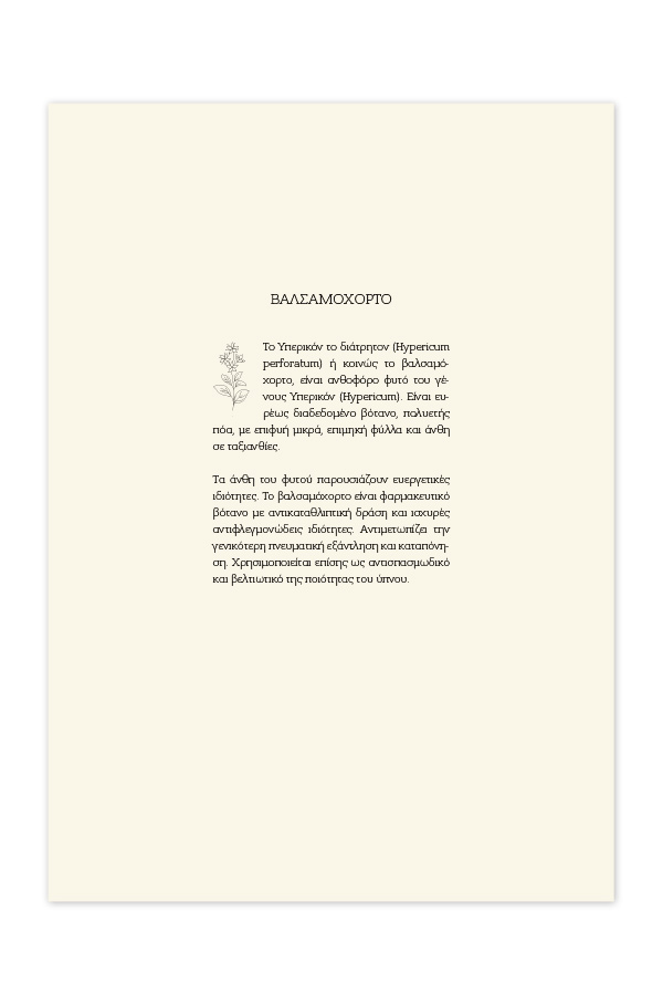 Adbook - Ημερήσιο Ημερολόγιο Botanical 2026, Light Green 14x21 HM-3234-33