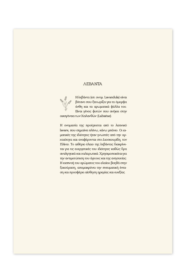 Adbook - Ημερήσιο Ημερολόγιο Botanical 2026, Light Blossom 14x21 HM-3234-56