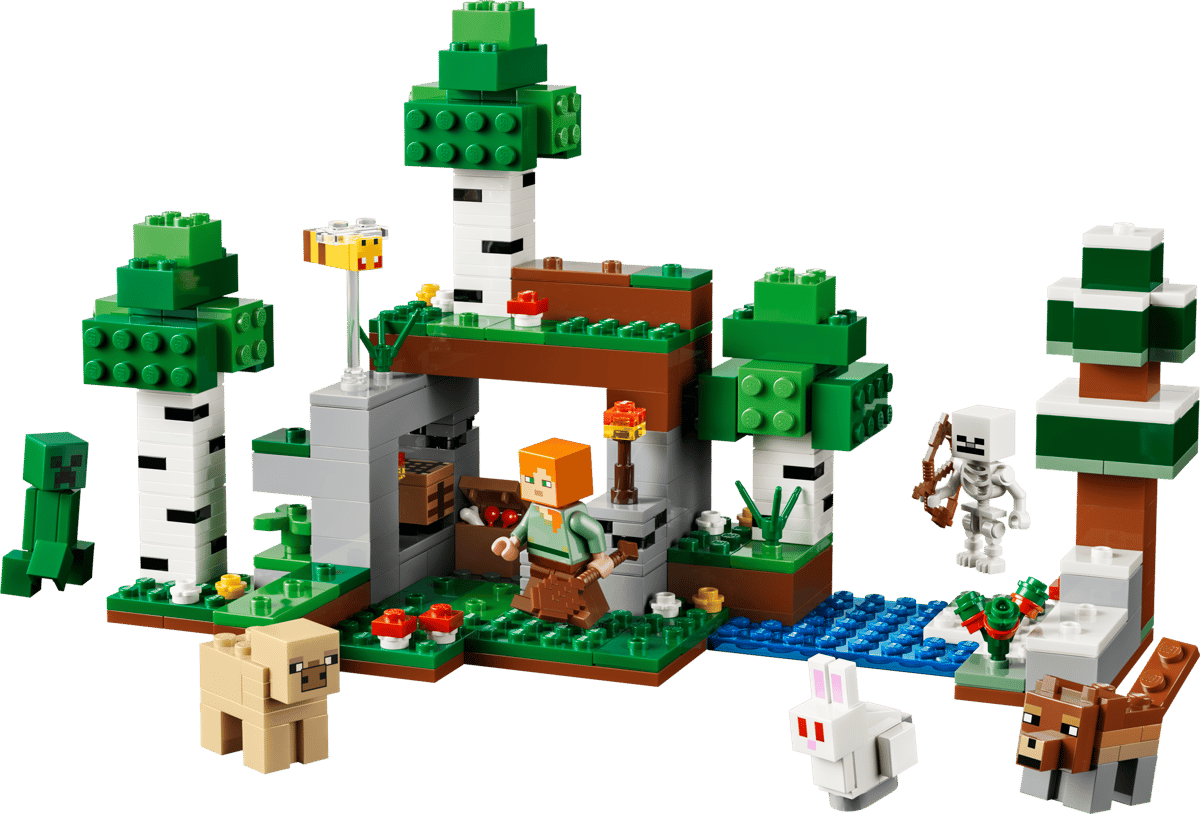 Lego Minecraft - First Night Adventure 21593