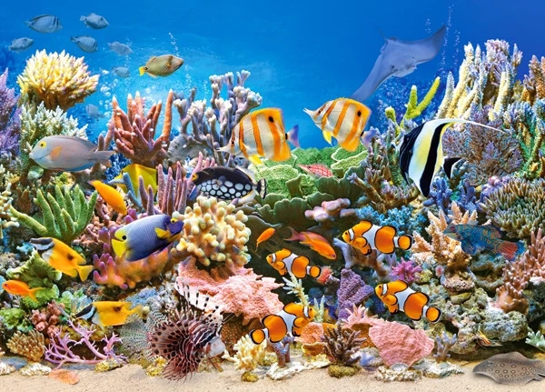 Castorland - Puzzle Colours Of The Ocean 260 Pcs 27279