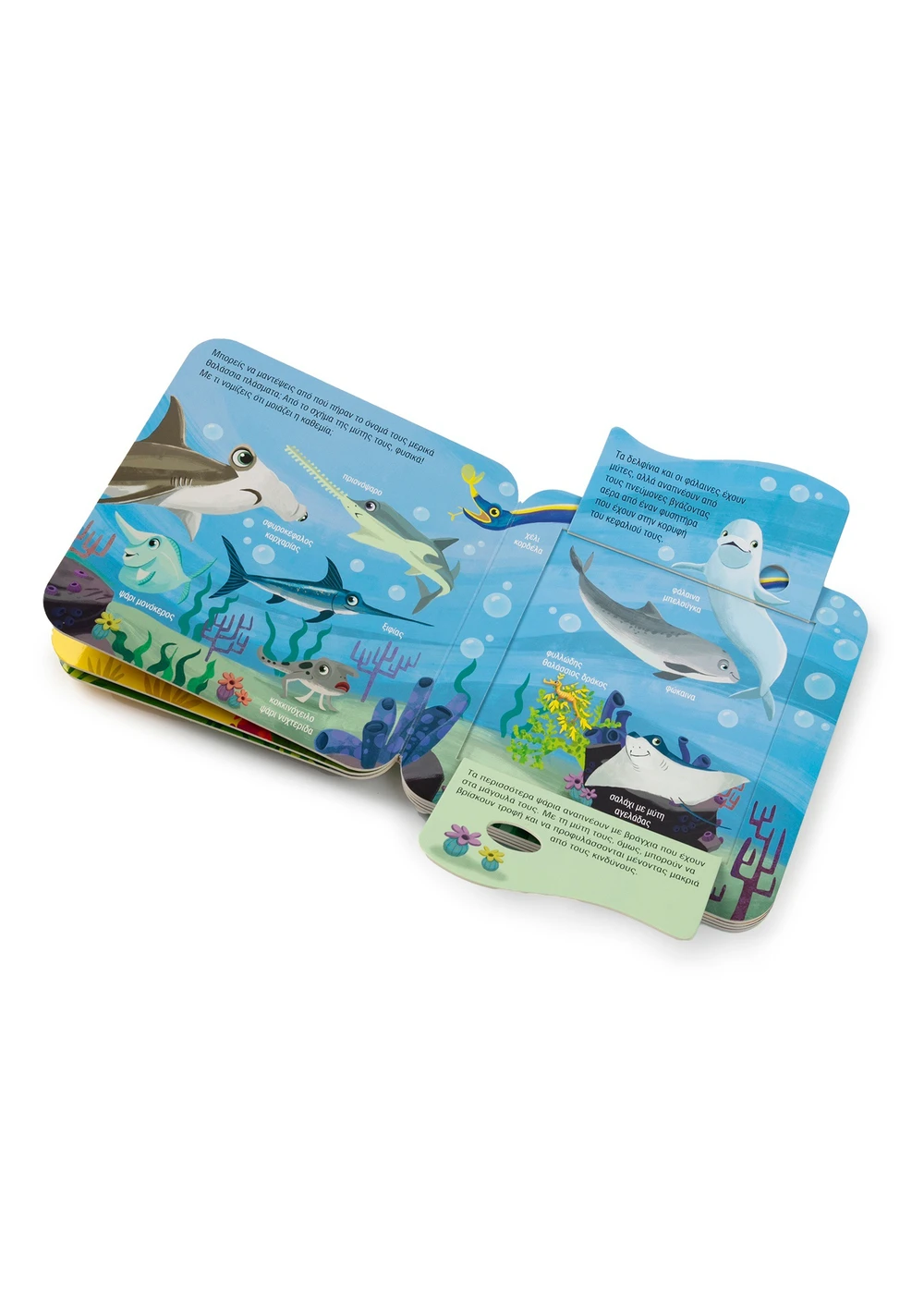 Παίζω Κρυφτό Με Τα Ζώα Του Κόσμου