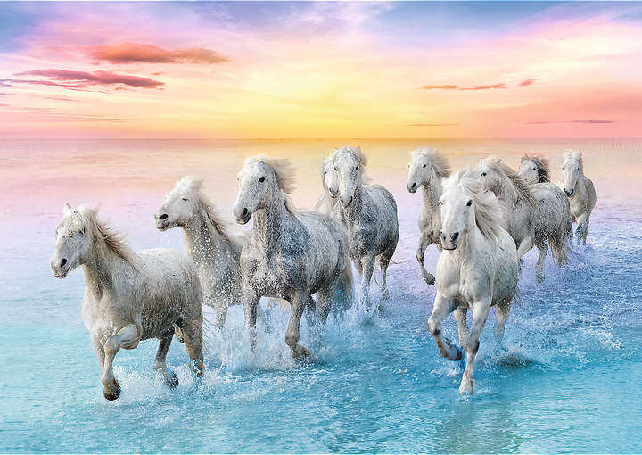 Trefl - Puzzle, Galloping White Horses 500 Pcs 37289