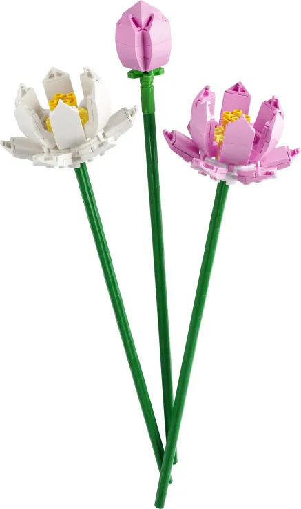 Lego Creator - Lotus Flowers 40647