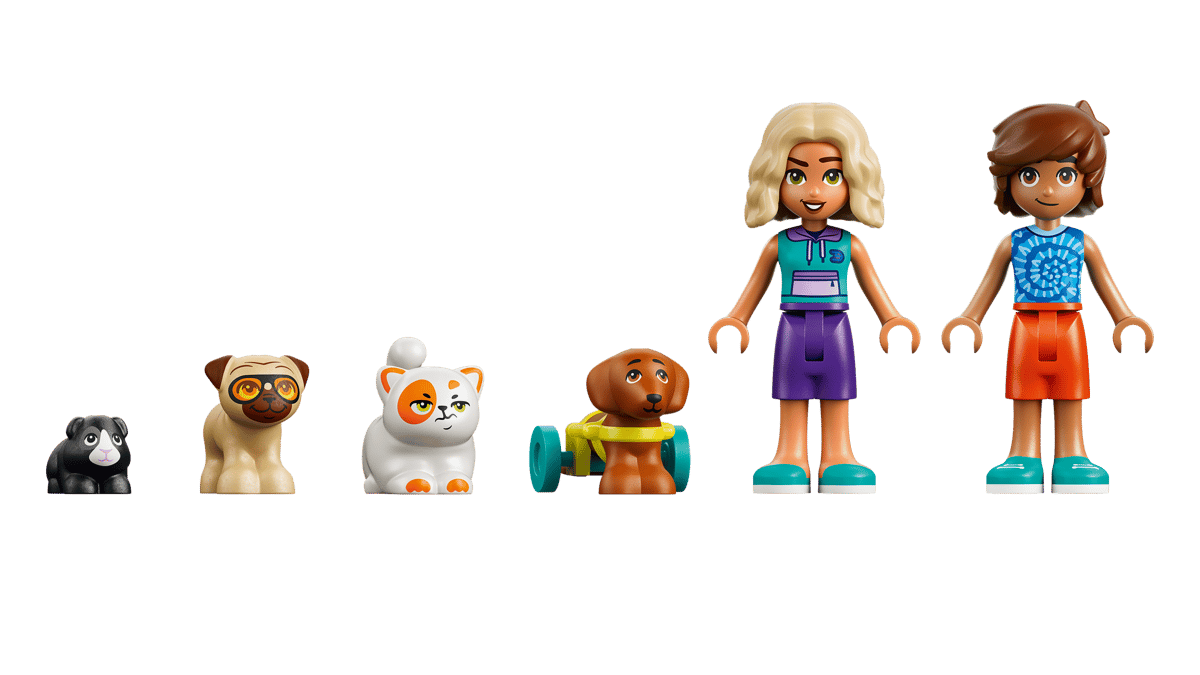 Lego Friends - Fun Water Park Day 42676