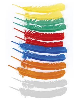 Funny Fashion - Φτερά Ινδιάνου Μονόχρωμα 12τμχ 50290