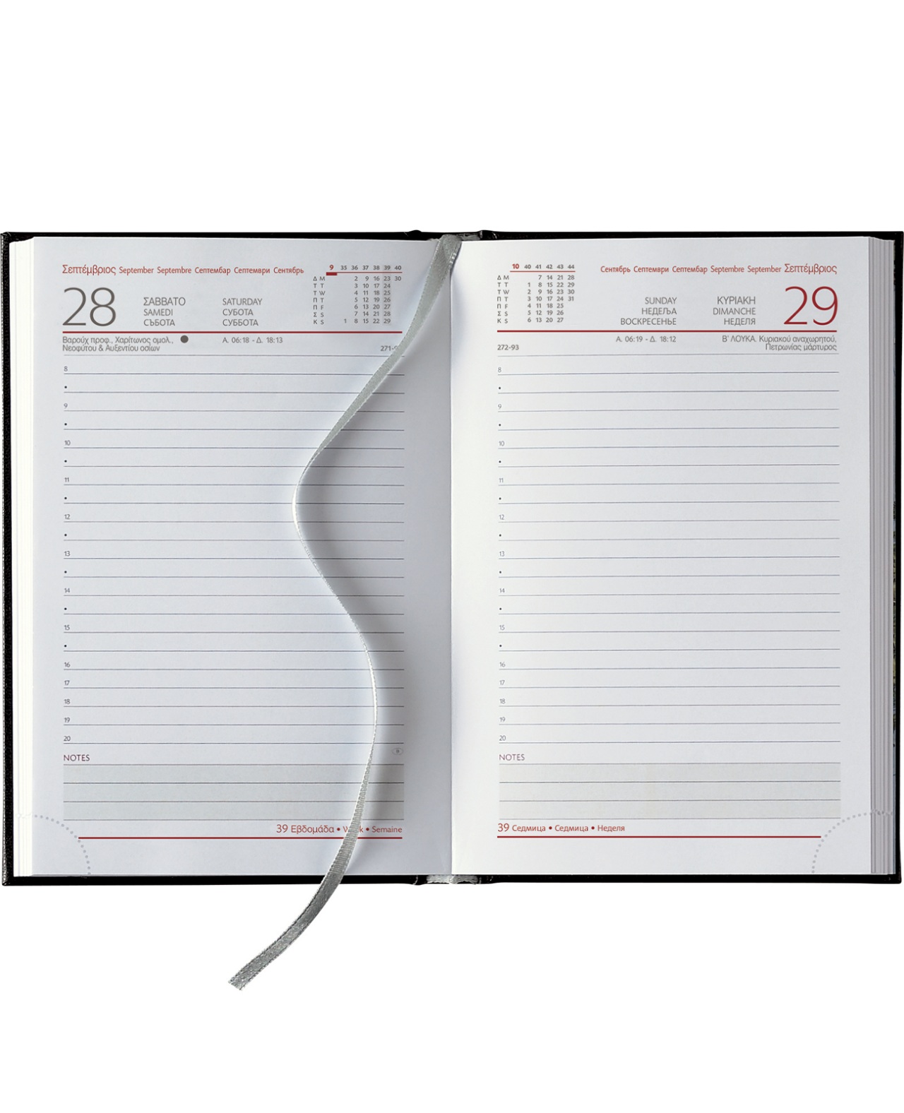 Θεοφύλακτος - Ημερήσιο Ημερολόγιο Fancy 2026, Meadow 11x16.5 68599.004