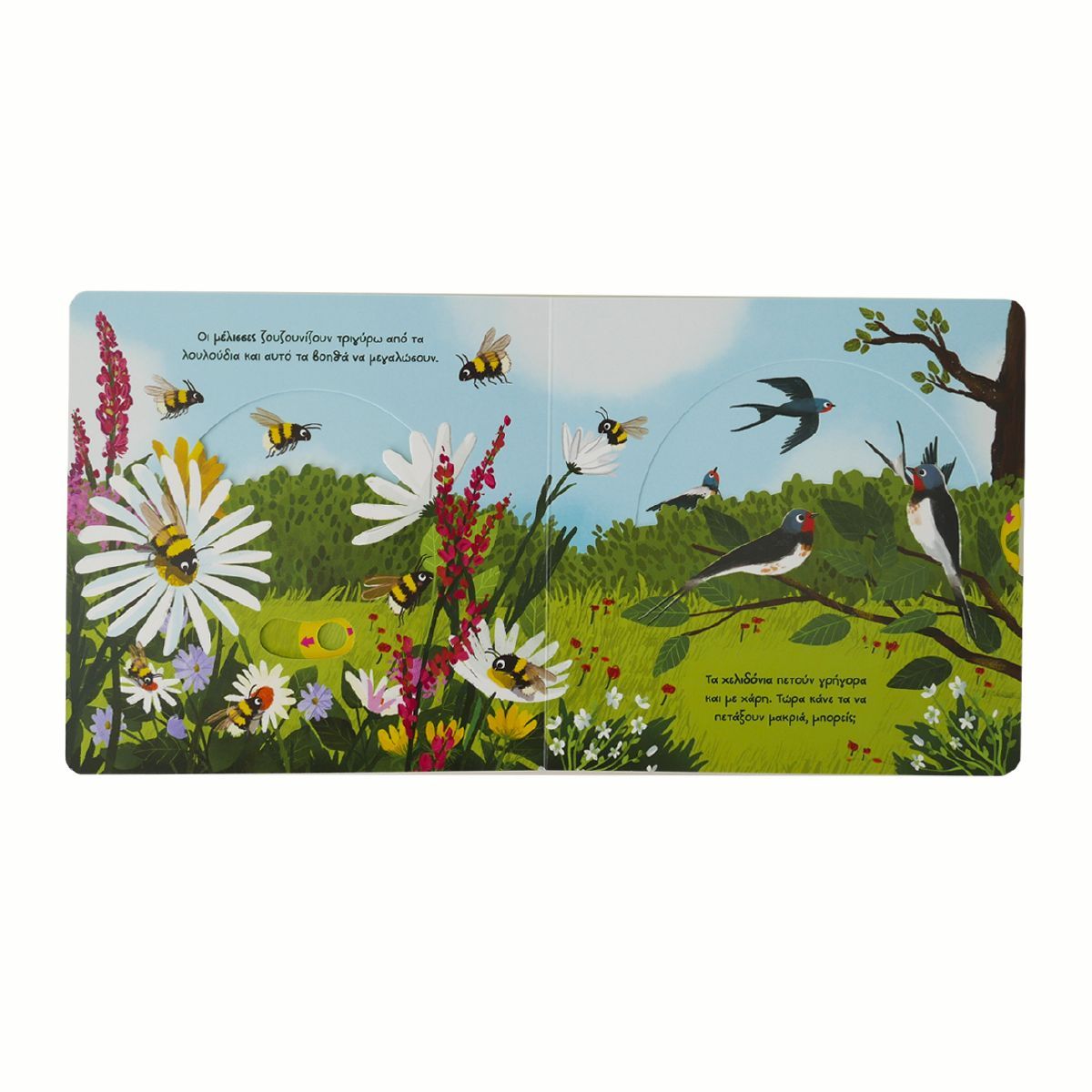 Μεγάλες Εξορμήσεις Για Μικρούς Εξερευνητές - Εξοχή