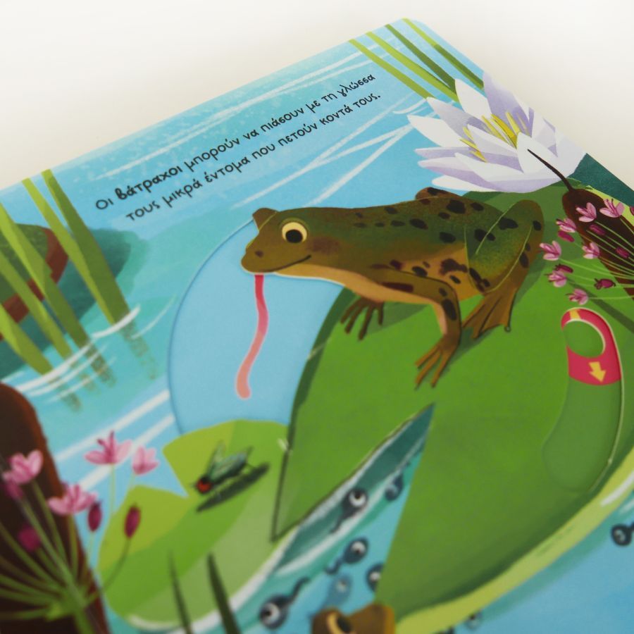 Μεγάλες Εξορμήσεις Για Μικρούς Εξερευνητές - Ποτάμι