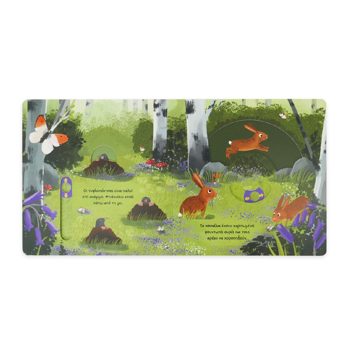 Μεγάλες Εξορμήσεις Για Μικρούς Εξερευνητές - Δάσος