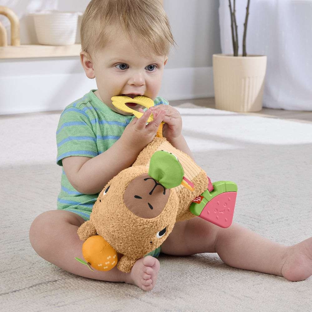 Fisher Price - Μαλακό Καπιμπάρα Δραστηριοτήτων HYR54 Fisher Price - Μαλακό Καπιμπάρα Δραστηριοτήτων HYR54