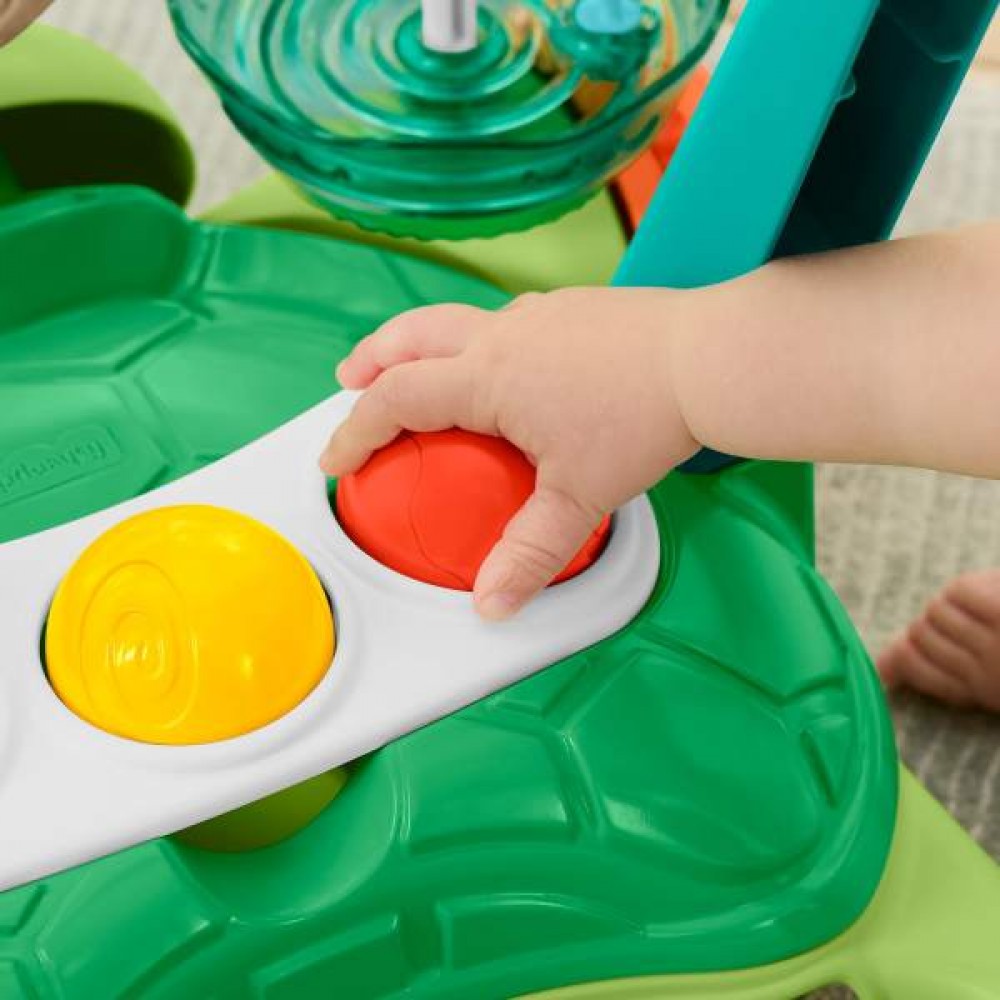 Fisher Price - Moves With You Turtle Walker JKD63