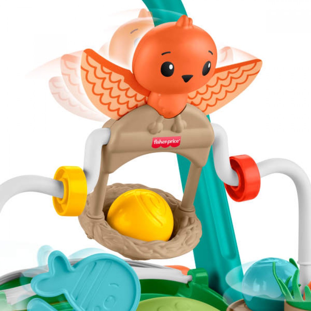 Fisher Price - Moves With You Turtle Walker JKD63