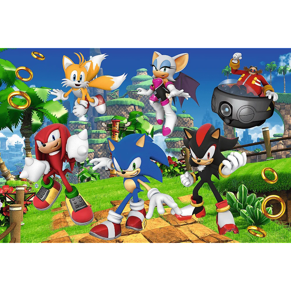 Trefl - Puzzle Sonic And Friends 160 Pcs 15421