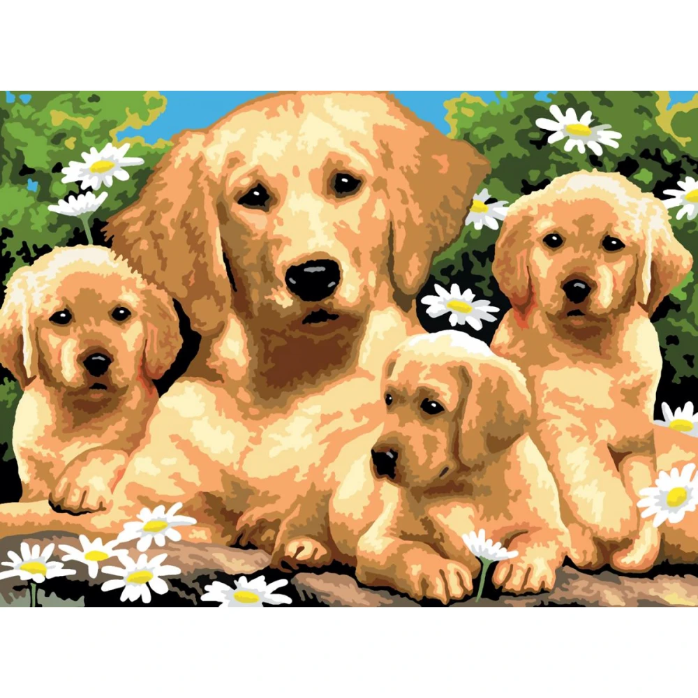 Royal & Langnickel - Painting By Numbers , Golden Retrievers PJL12-3T
